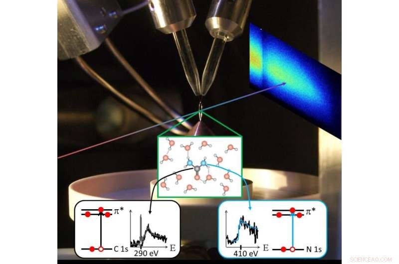 Dual‑Perspective Molecular Imaging with Table‑Top Femtosecond Soft X‑Rays