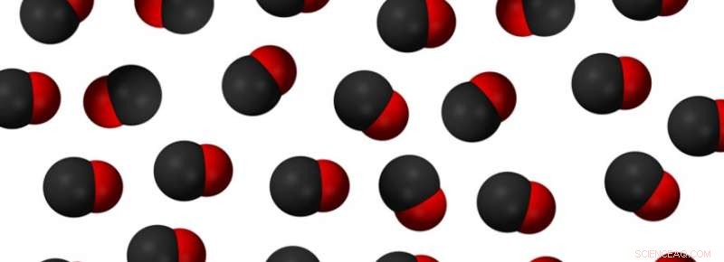 Chemical Bond Dynamics Revealed: Electromagnetic Waves Halt Vibrating CO Molecules