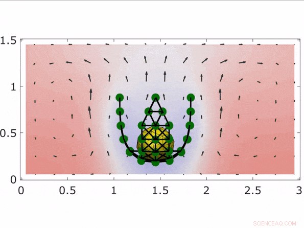 Self‑Powered Microfluidic Sheet Mimics Flapping, Wrapping, and Creeping Motions