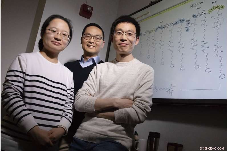 Unlocking Silent Genes in Bacteria Paves Way for Novel Drug Candidates