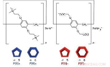 Self-Sorting Achieved Through Molecular Geometry of Pillar[n]Arenes