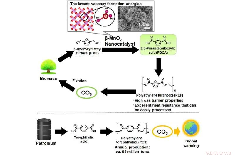Earth‑Abundant Metal Catalysts Accelerate Bio‑Based Plastic Production