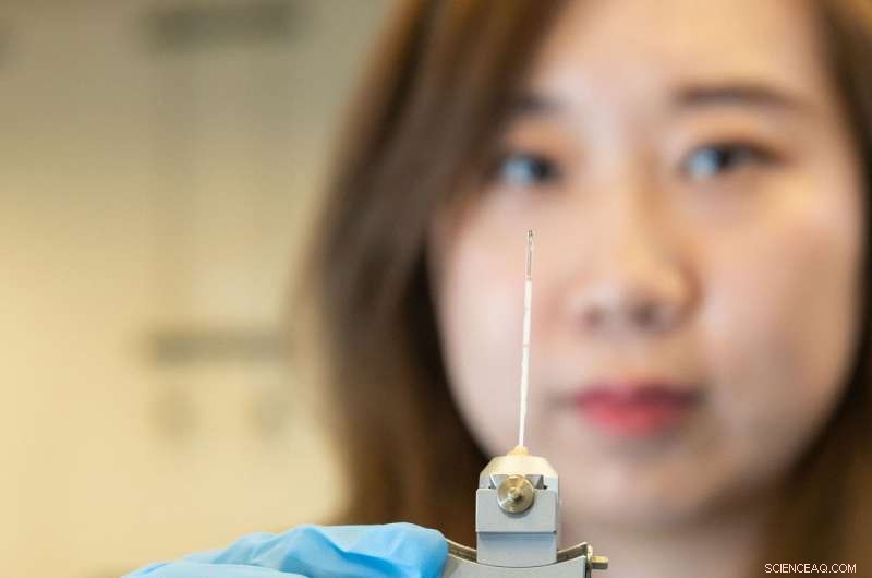 High‑Intensity X‑Ray Beams Reveal Nanoscale Crystal Formation Mechanisms