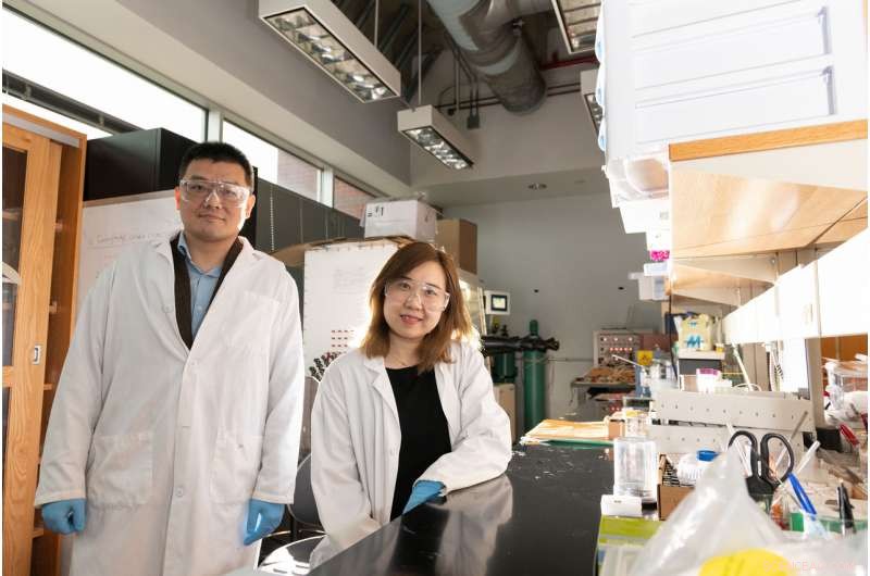 High‑Intensity X‑Ray Beams Reveal Nanoscale Crystal Formation Mechanisms