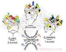 Unveiling the Mechanism of Nitrogenase in Ammonia Production