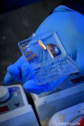 Producing Cleaner Hydrogen from Water: A Sustainable Path Forward