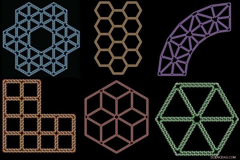 New Software Transforms Free-Form 2D Drawings into DNA-Based Nanostructures