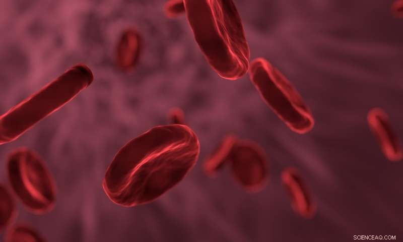 Rapid Diagnostic Tool Promises Faster Treatment for Bloodstream Infections