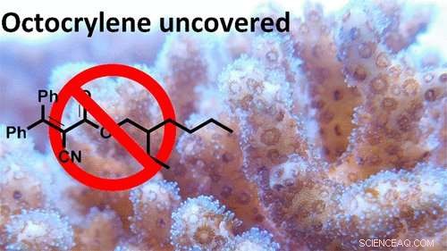 Certain Sunscreen and Cosmetic Ingredients Threaten Coral Health by Disrupting Fatty Acid Balance