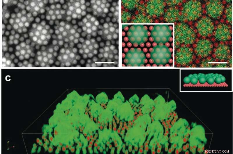 Enhancing Nanocrystals Through Self‑Assembly with Metal‑Organic Frameworks