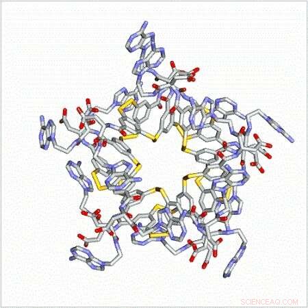 Scientists Engineer a Self‑Folding Complex Molecule Mimicking Protein Structures