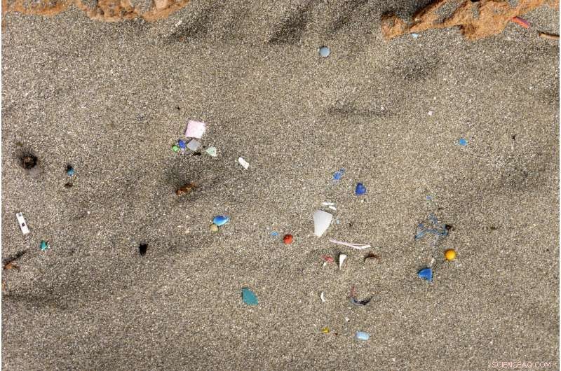 Assessing the True Danger of Microplastics to Health and Environment