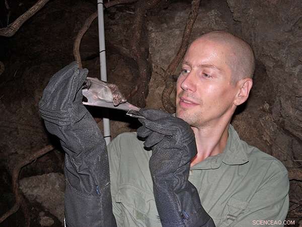 Human Safety Challenges Slow Progress in Vampire Bat Venom Research