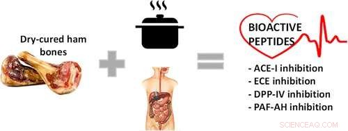 Dry‑Cured Ham Bones: A Potential Source of Heart‑Healthy Peptides