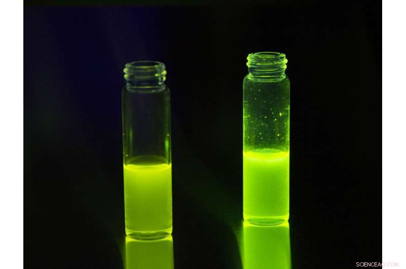 Scientists Develop Promising New Polymer for Solar Cells, LEDs, and Sensors