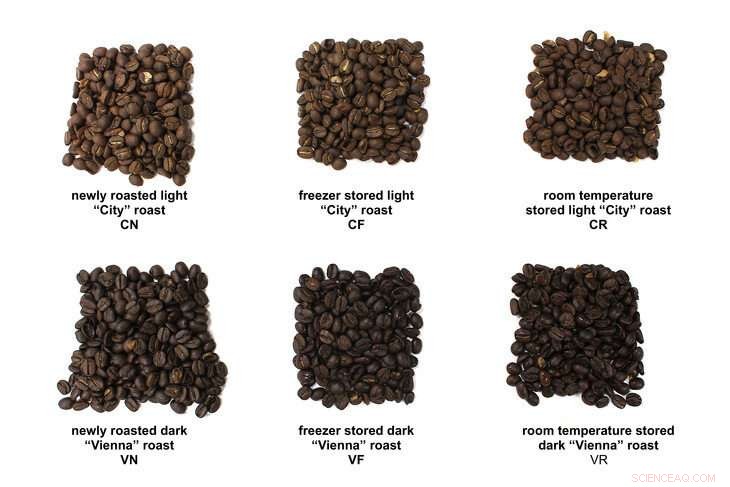 Wake Up and Smell the Coffee: Freezing Beans Preserves Aroma, New Research Shows