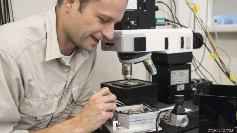 Hand‑Knitted Molecules: Advancing Molecular Transport at the Nanoscale