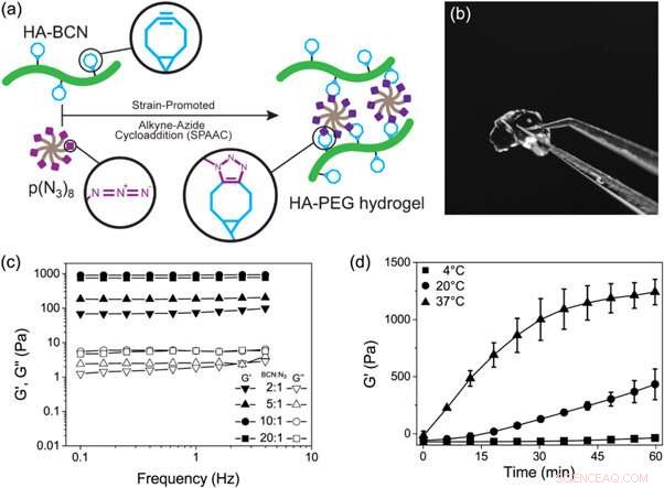 Advanced 3D Hepatocyte Culturing on a Liver-on-a-Chip Platform