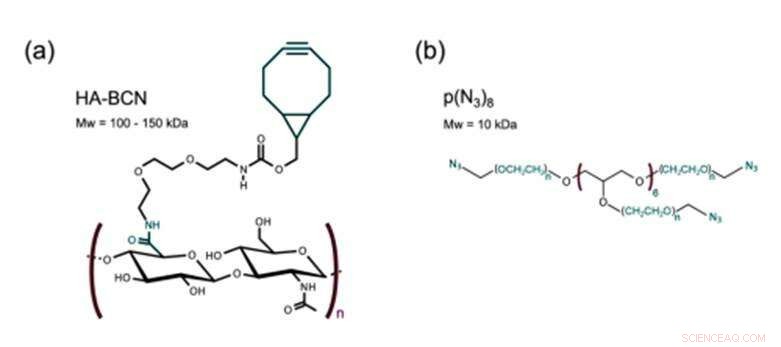 Advanced 3D Hepatocyte Culturing on a Liver-on-a-Chip Platform