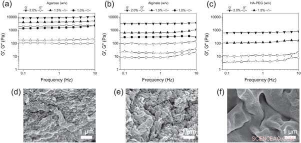 Advanced 3D Hepatocyte Culturing on a Liver-on-a-Chip Platform