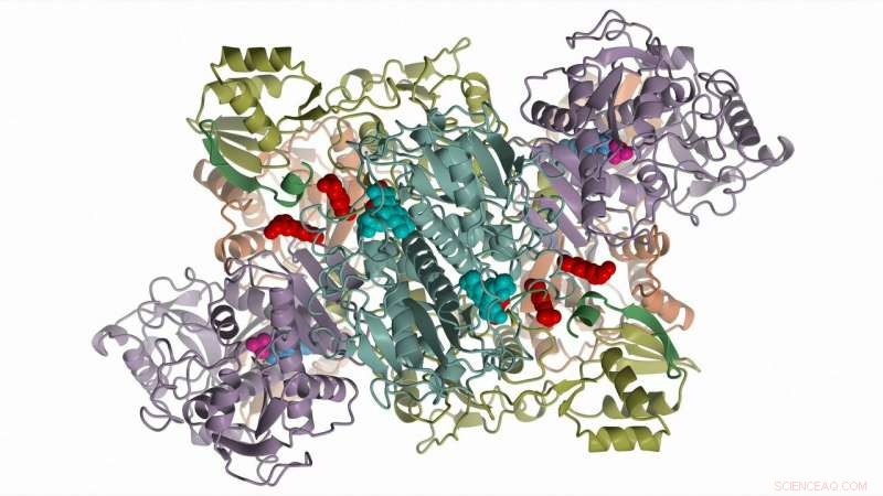 Scientists Reveal the Molecular Machinery Behind a Powerful Antibiotic