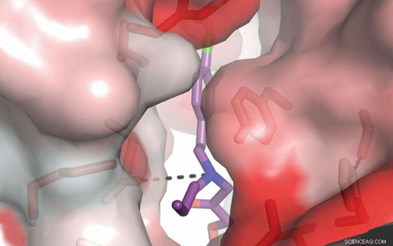 Targeting a Hidden Binding Pocket to Treat Stroke and Seizures