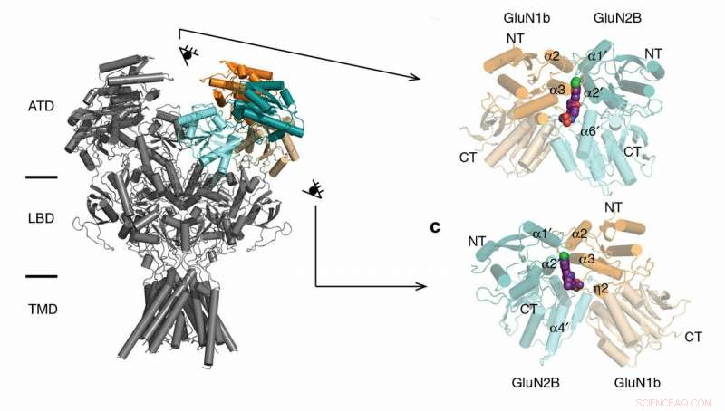 Targeting a Hidden Binding Pocket to Treat Stroke and Seizures