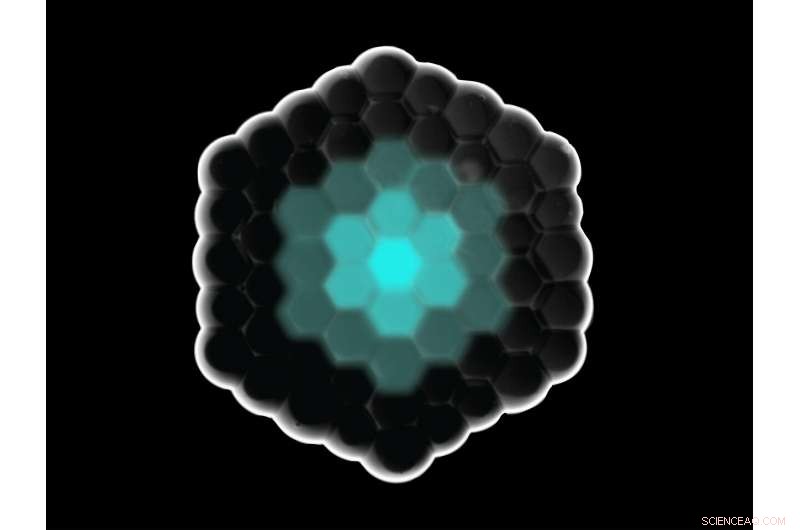 Engineered Cells Achieve Intercellular Communication