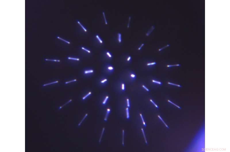 Assessing Bacterial Survival in Aerosol Droplets from Coughs and Sneezes