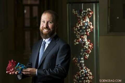 Revolutionary Near‑Infrared Imaging Tool Visualizes Neural Activity in Real Time