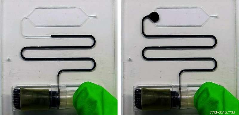 Advanced Micro‑Dispenser for Long‑Term Liquid Storage and On‑Demand Release