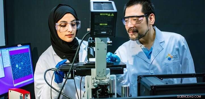 Advancing Polymer Chain Dynamics: New Techniques and Insights