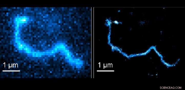 Advancing Polymer Chain Dynamics: New Techniques and Insights