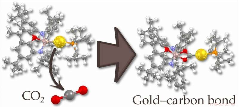 First Nucleophilic Gold Complex Discovered: A Breakthrough in Catalysis