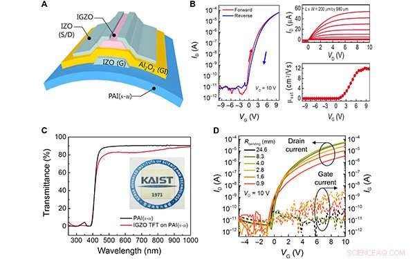 Revolutionary Transparent and Flexible Display Material Boosts Performance
