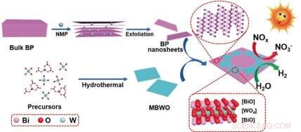 Black Phosphorus and Bismuth Tungstate Heterostructure Boosts Photocatalytic Efficiency