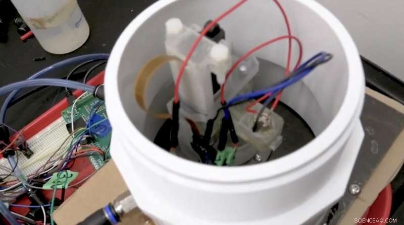 UBC Okanagan Researchers Unveil Advanced  Artificial Nose  Gas Detector