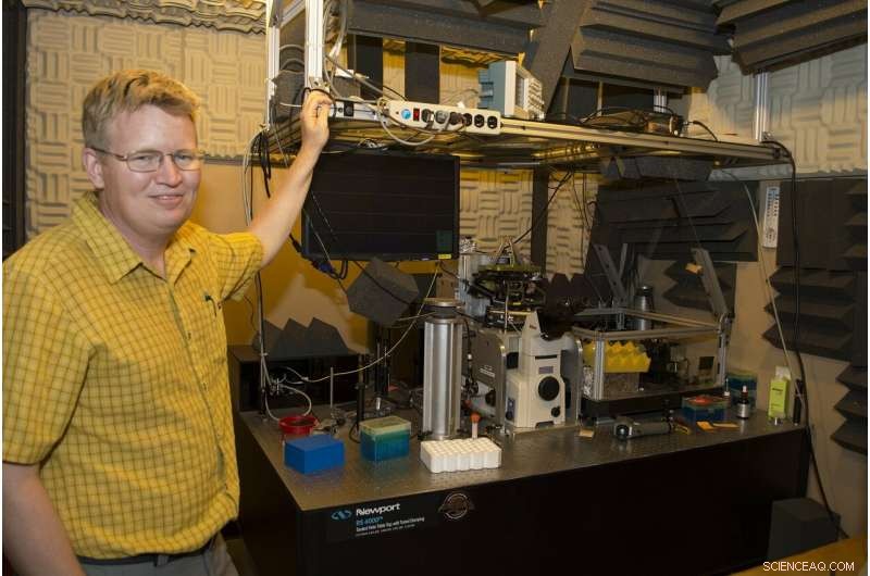 Groundbreaking Theory Decodes Protein-Membrane Interactions