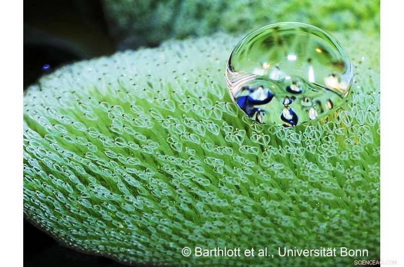 Revolutionary High‑Tech Surfaces Could Cut Ship Drag & CO₂