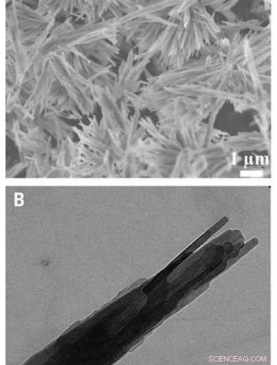 International Team Discovers Novel Semi-Aqueous Calcium Carbonate Phase