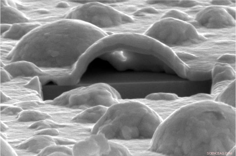 Platinum Forms Nano‑Bubbles: Insights from Electron Microscopy