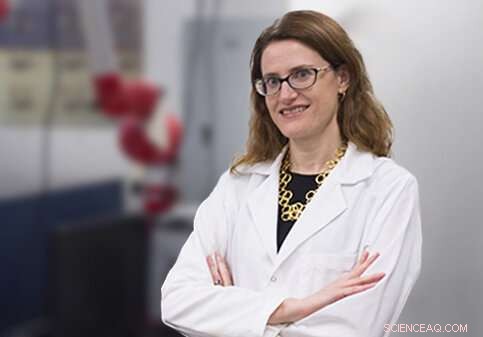 Exploring Energy Potential of Organic Radical Polymers for Next‑Gen Batteries