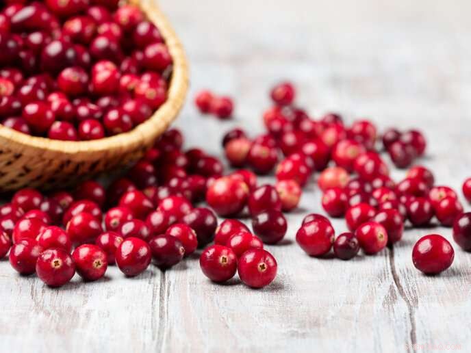 Cranberries: A Proven Ally Against Gut Issues in Meat‑Eaters