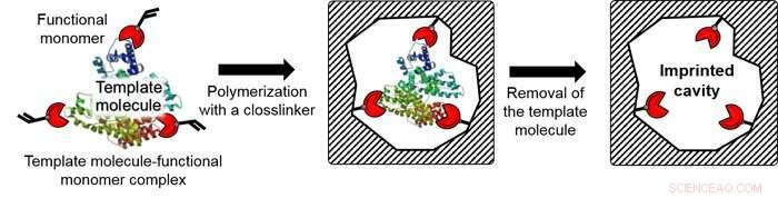 New Highly Sensitive Technique Uncovers Exosome-Based Cancer Biomarkers