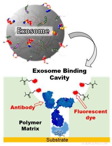 New Highly Sensitive Technique Uncovers Exosome-Based Cancer Biomarkers