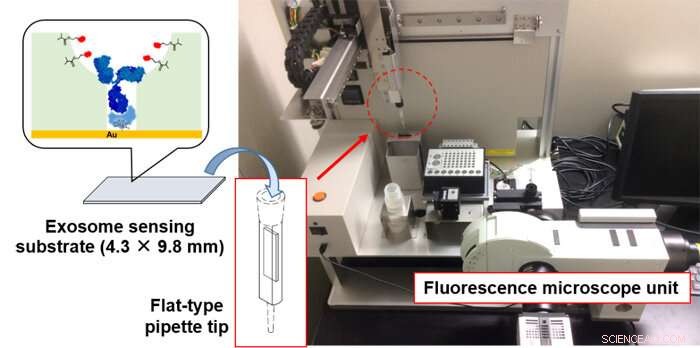 New Highly Sensitive Technique Uncovers Exosome-Based Cancer Biomarkers