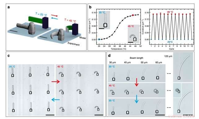 Scientists Engineer 3D Microstructures Responsive to Temperature and Light