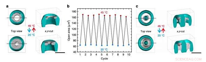 Scientists Engineer 3D Microstructures Responsive to Temperature and Light