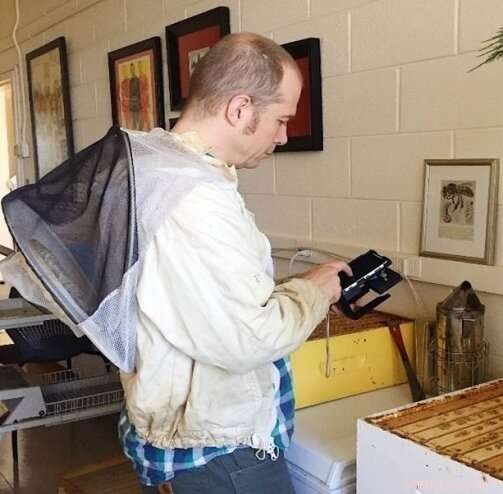 Smartphone Microscope Uncovers Hidden Threat to Honey Bee Health