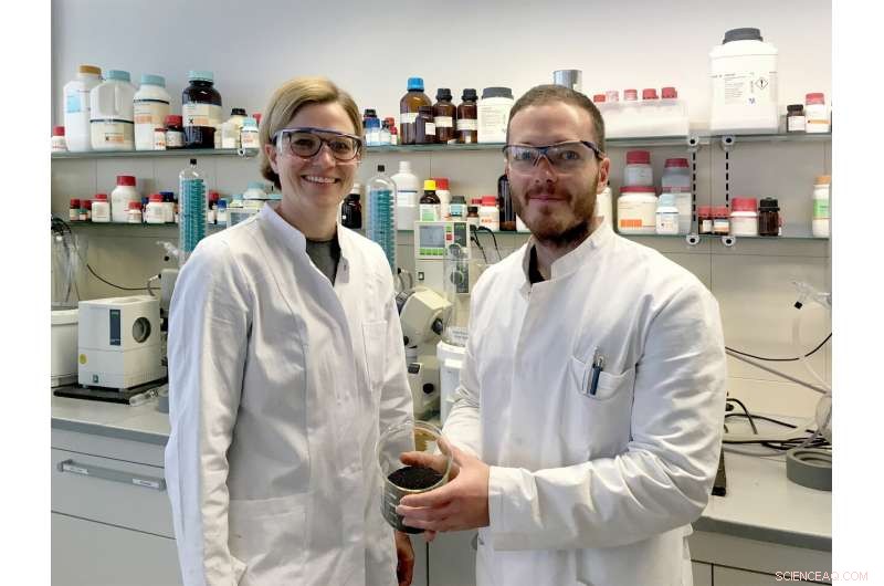 The Bitter Truth About Rapeseed Protein: Benefits & Challenges